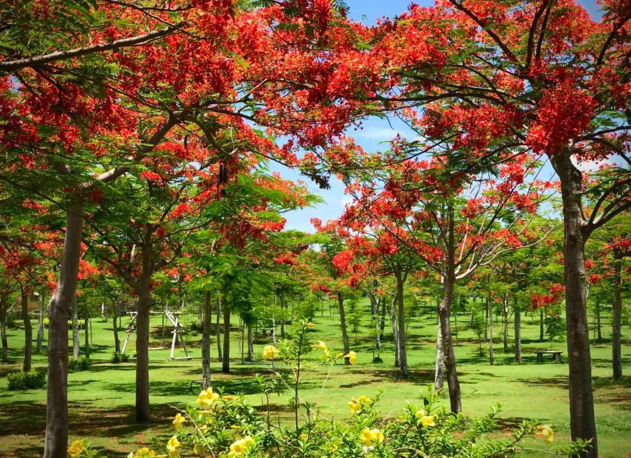 Ttc Resort - Doc Let Ấp Ninh Hòa  Eksteriør bilde