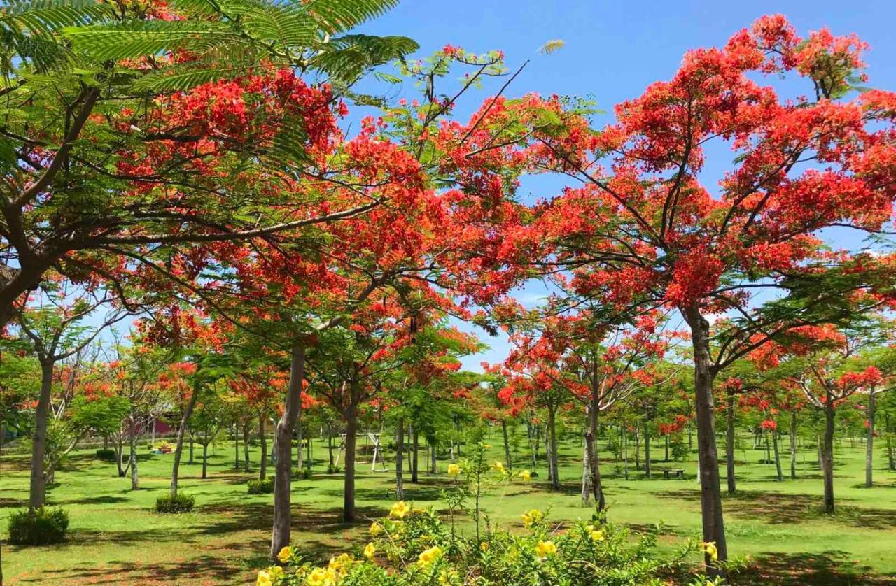 Ttc Resort - Doc Let Ấp Ninh Hòa  Eksteriør bilde